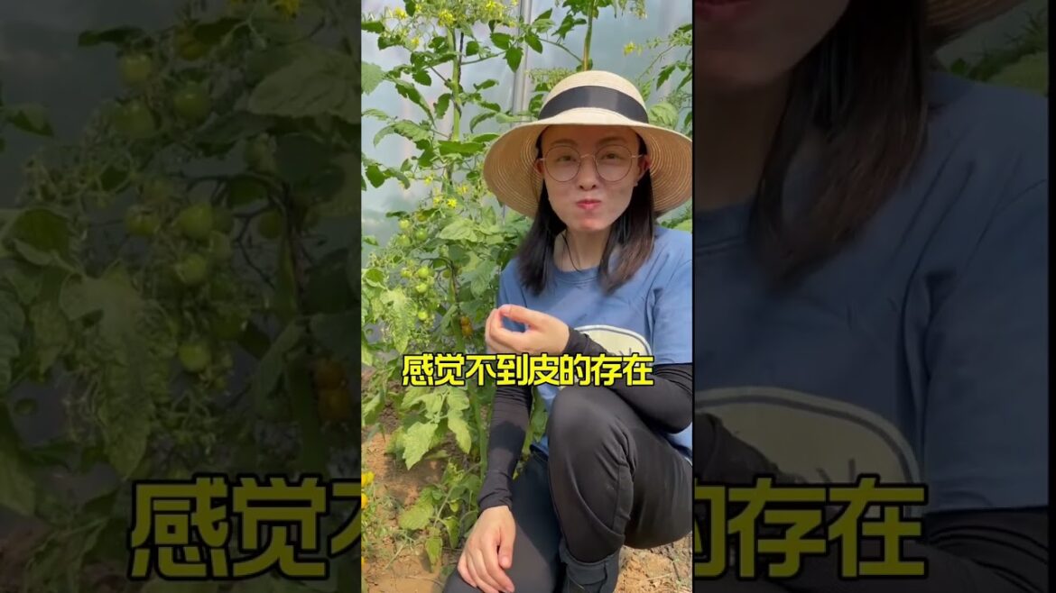 gardening ideas for home/enjoy with my garden