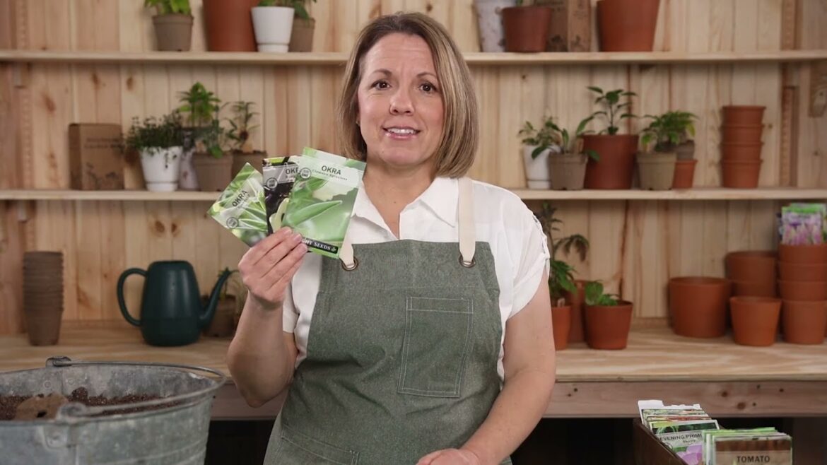 Sow Right Seeds | Grow Okra from Seed | Okra Seed Collection