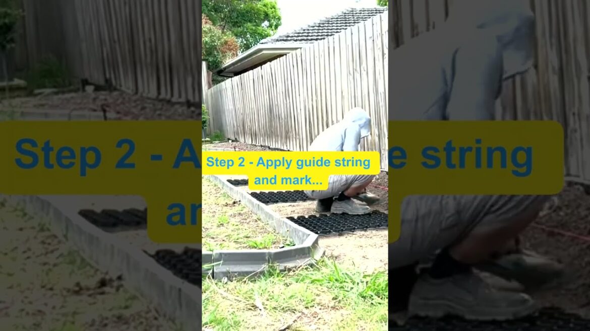 How to build a backyard garden bed in 5 simple steps, MUST SEE#shorts #landscapingideas #garden How to build a backyard garden bed in 5 simple steps, MUST SEE#shorts #landscapingideas #garden