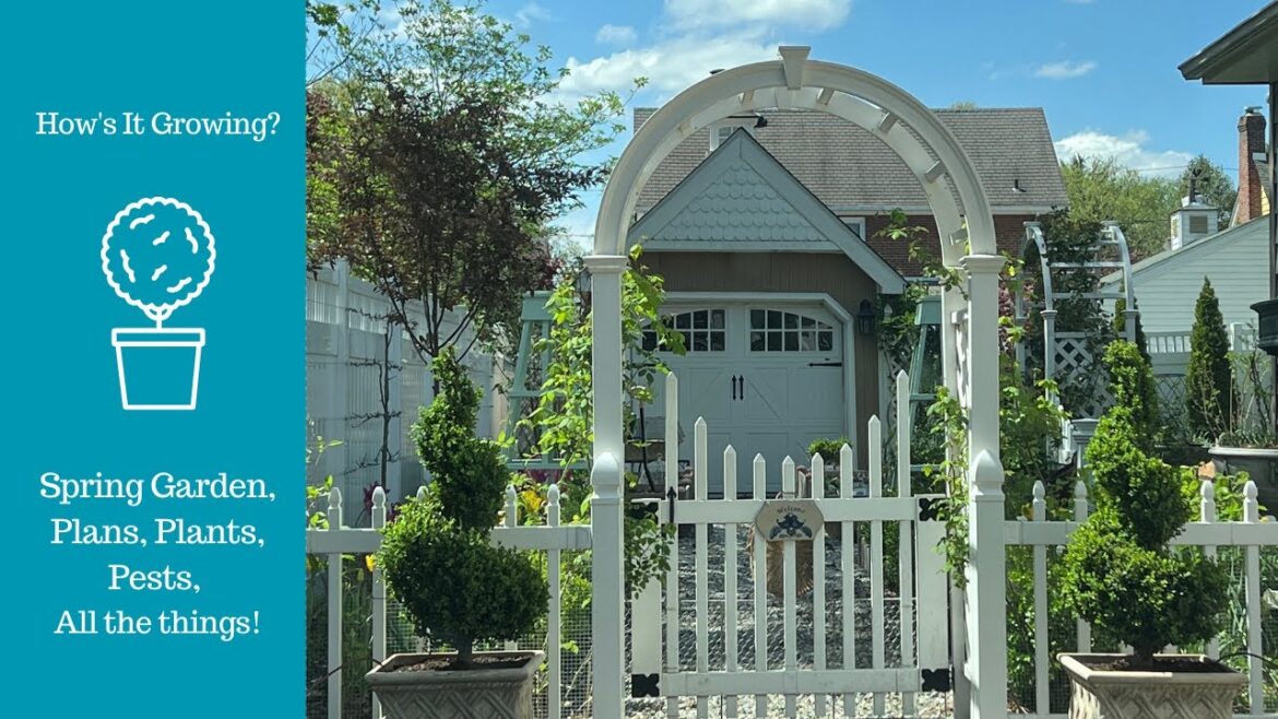 Spring Garden Plans, Plants, Pests