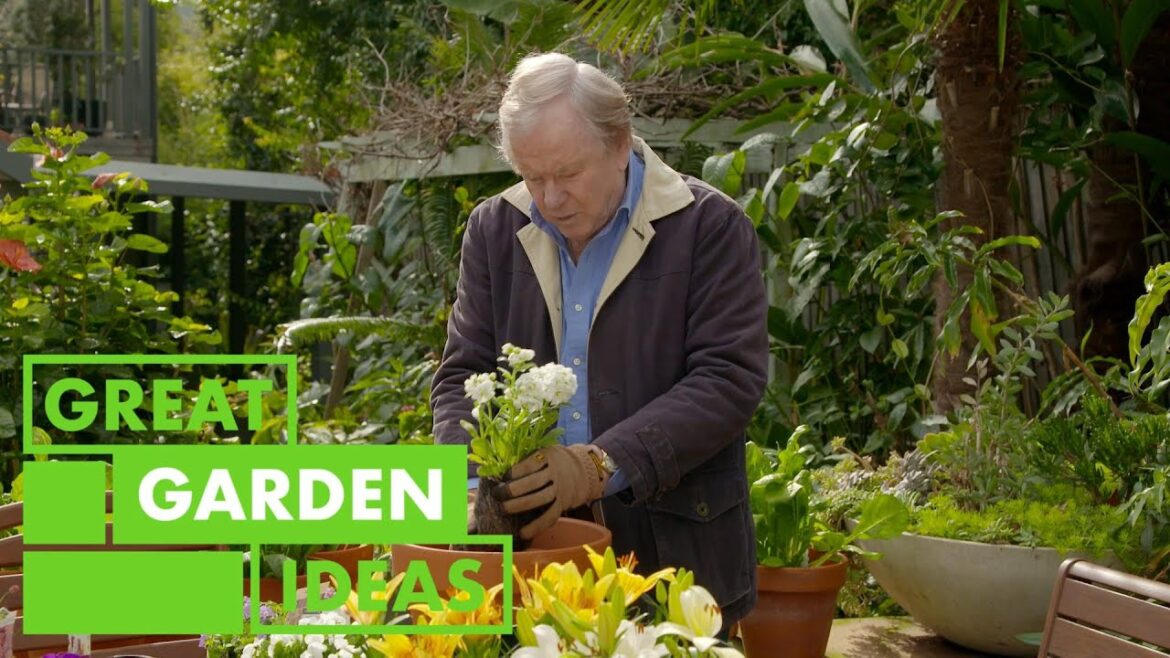 Gardening Hints and Tips | GARDEN | Great Home Ideas Gardening Hints and Tips | GARDEN | Great Home Ideas