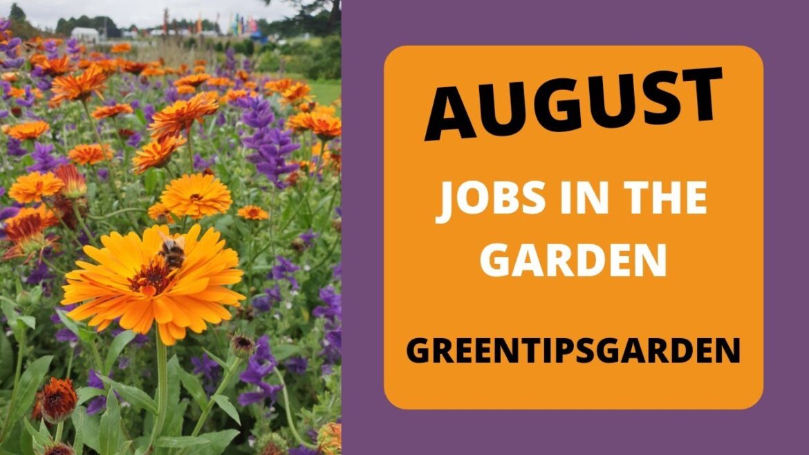 10 Top Tips for August in the Garden 10 Top Tips for August in the Garden