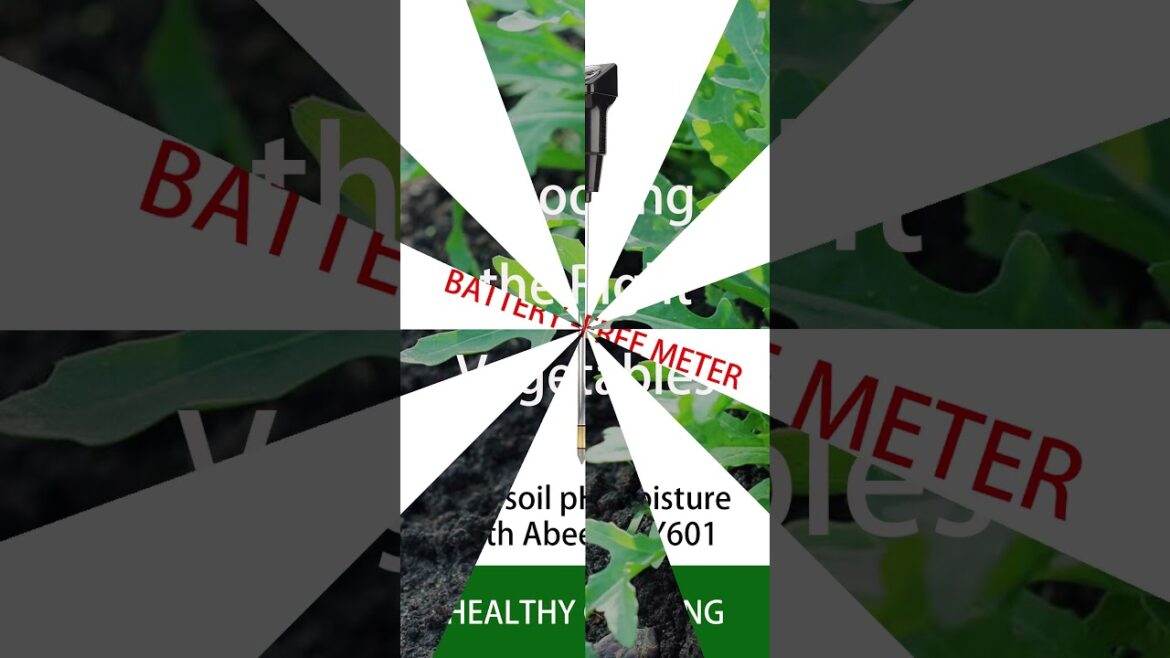 Vegetable Gardening Tips for Beginners #shorts #gardeningtips #gardening