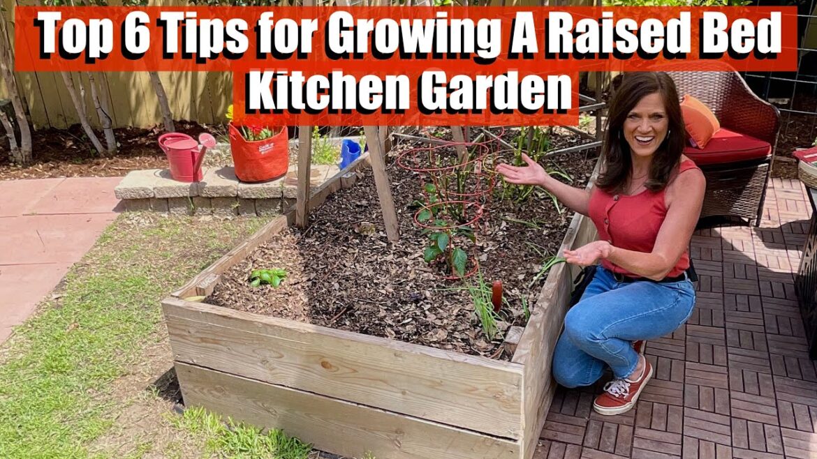 CaliKim: Top 6 Tips to Grow Lots of Vegetables a Raised Bed Kitchen Garden Top 6 Tips to Grow Lots of Vegetables a Raised Bed Kitchen Garden