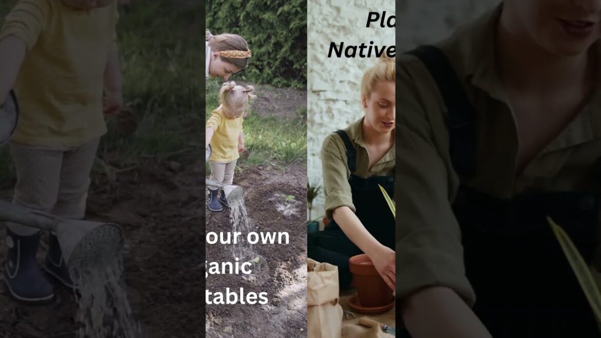 Tips for creating a sustainable and eco-friendly garden | BE YOUR OWN GARDENER