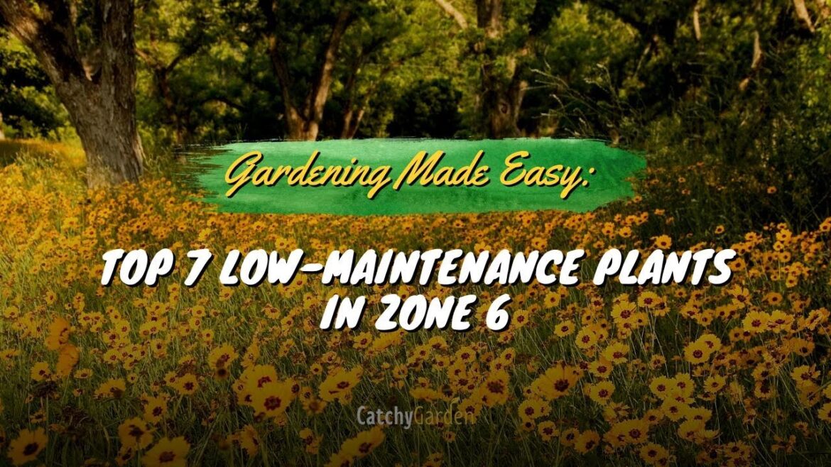 Gardening Made Easy: Top 7 Picks for Low Maintenance Plants in Zone 6 🌻🌸🌷