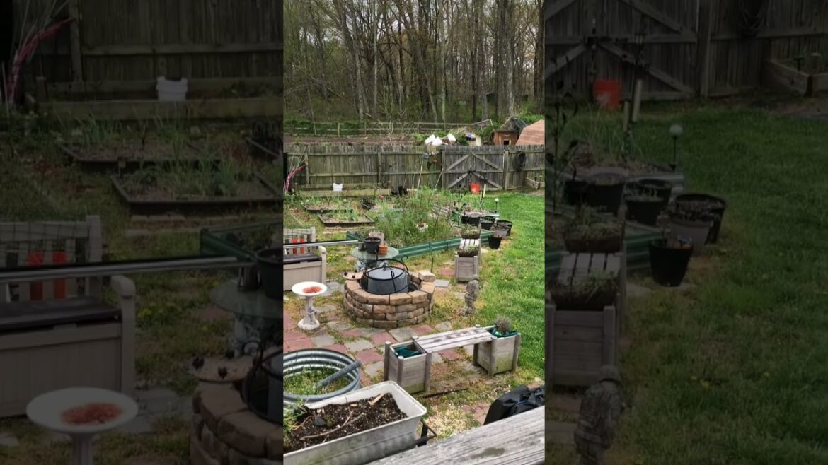 Ready To Start Gardening?