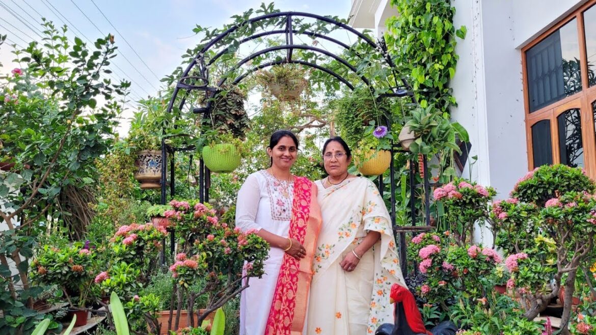 Garden tour | Gardening ideas for home in telugu | mokkalu ela penchali | home garden tour 🏡