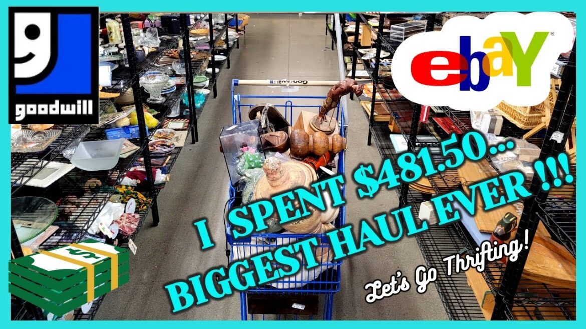 My BIGGEST GOODWILL HAUL EVER! The CART OVERFLOWED! / Thrift With Me / Buy My HAUL / PUPS GO HIKING My BIGGEST GOODWILL HAUL EVER! The CART OVERFLOWED! / Thrift With Me / Buy My HAUL / PUPS GO HIKING