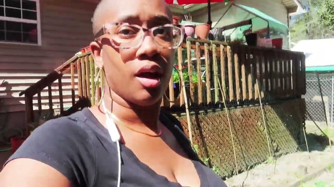 Homestead| He mixed chicken feed and she gathered eggs Teaching my kids to survive Homestead| He mixed chicken feed and she gathered eggs Teaching my kids to survive