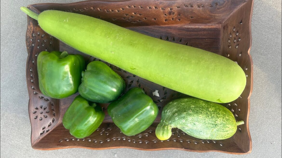 मेरे टैरेस गार्डन से कुछ हार्वेस्टिंग की मैने आज | terrace gardening | ghiya | lauki | meenu savita मेरे टैरेस गार्डन से कुछ हार्वेस्टिंग की मैने आज | terrace gardening | ghiya | lauki | meenu savita