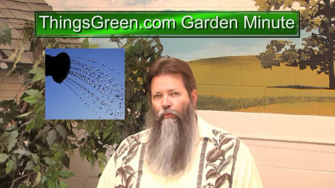 Garden Tips - Things Green Garden Minute with Nick Federoff