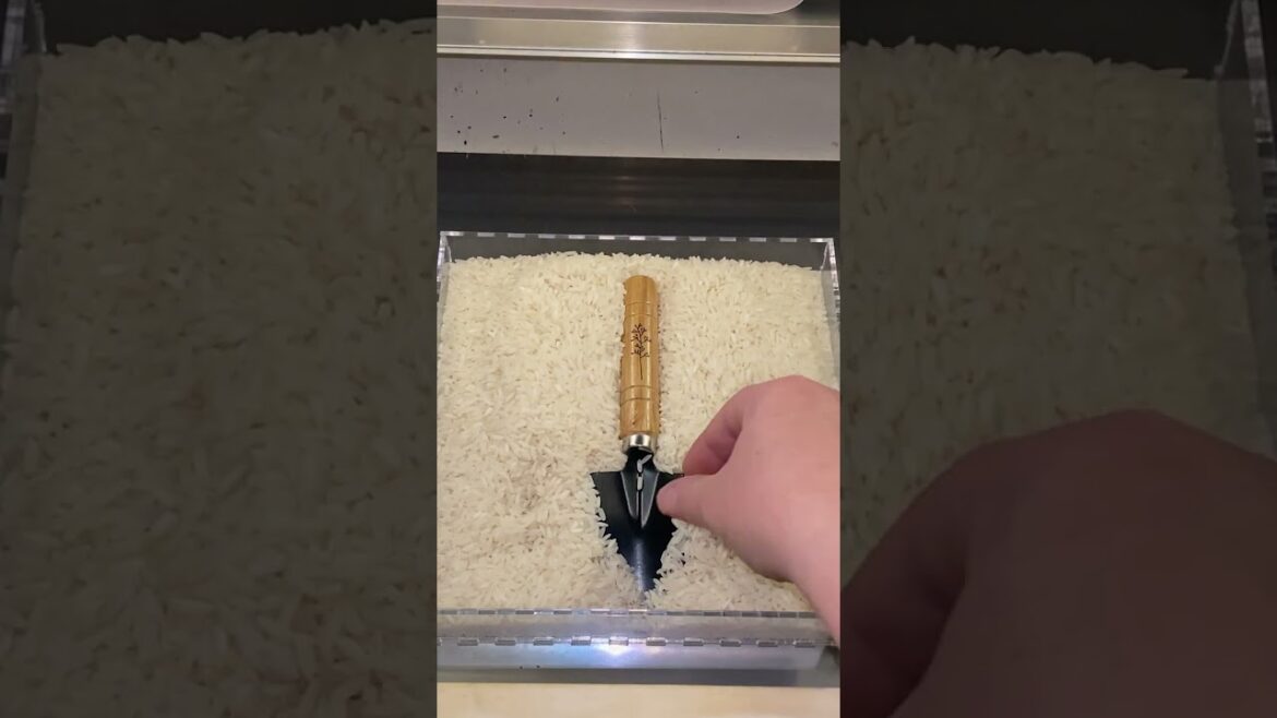 Use THIS Kitchen Staple to Engrave on Odd Shaped Objects 🤯 Use THIS Kitchen Staple to Engrave on Odd Shaped Objects 🤯