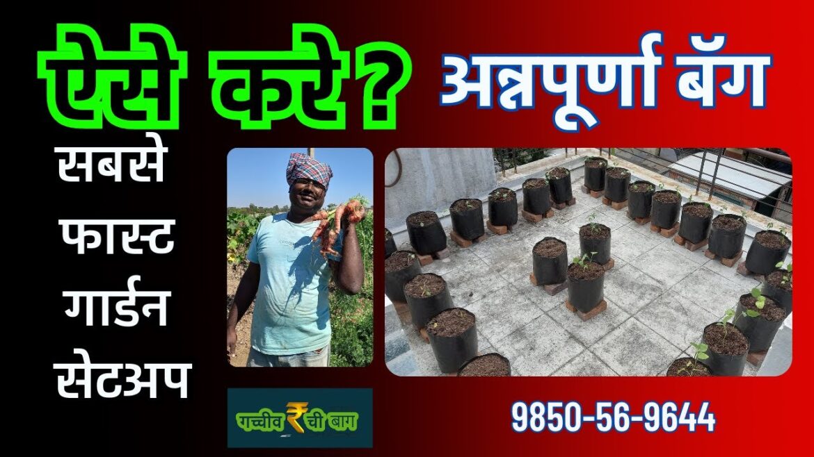 ऐसा कही मिले तो आजही …..  Vegetable Gardening hacks | Redaymade Vegetable Grow Bags | Grow Organic ऐसा कही मिले तो आजही .....  Vegetable Gardening hacks | Redaymade Vegetable Grow Bags | Grow Organic