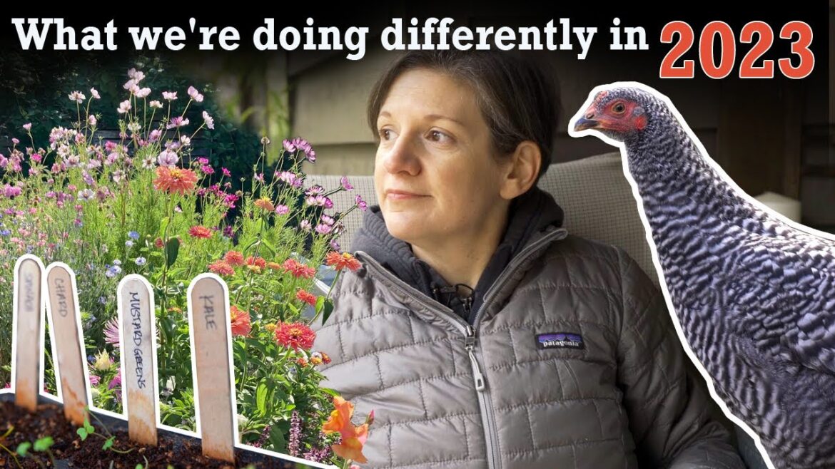 Meet the Backyard Chickens | Garden Planning 2023 | Seed Starting Mistakes | 8b Organic Gardening Meet the Backyard Chickens | Garden Planning 2023 | Seed Starting Mistakes | 8b Organic Gardening