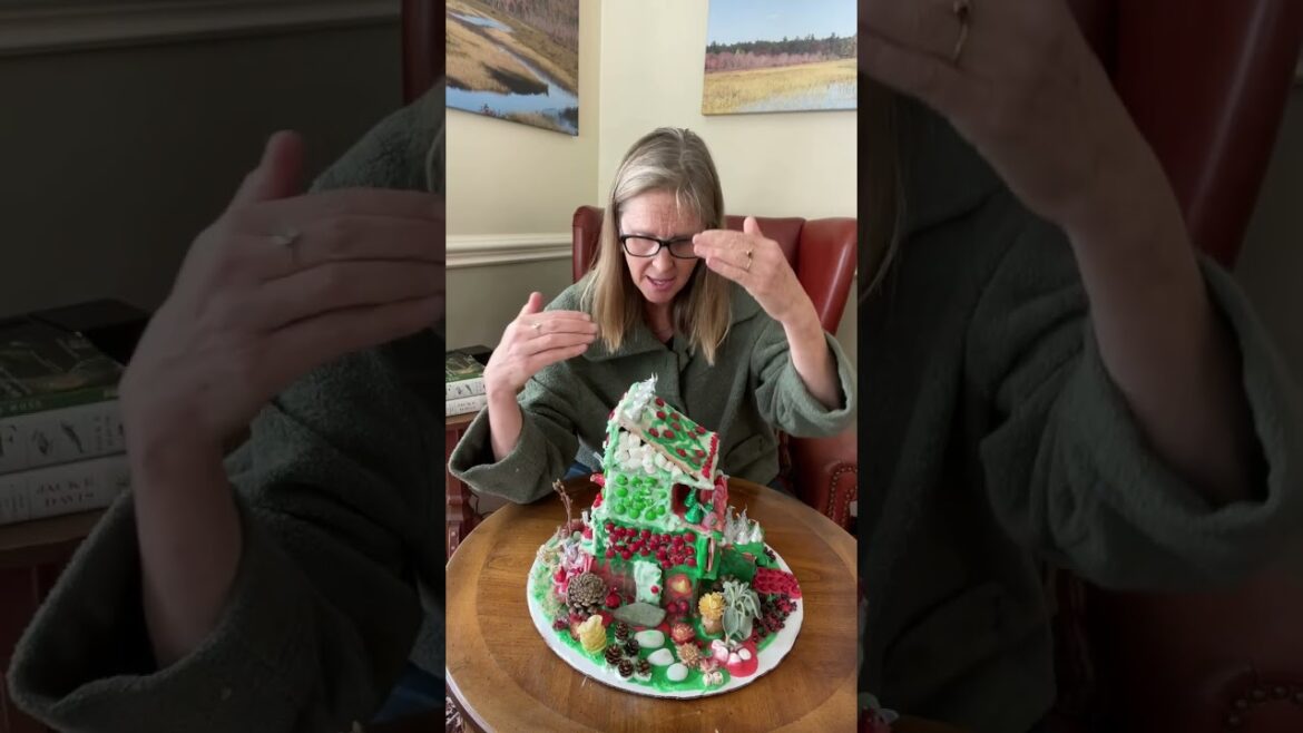 How To Design Your Garden: Tips To Save Time & Money