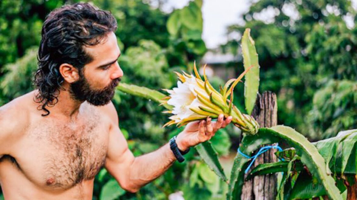 The UNSTOPPABLE SYNTROPIC FARM (Post Wet Season Tour) The UNSTOPPABLE SYNTROPIC FARM (Post Wet Season Tour)