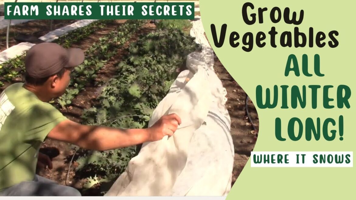 Grow Vegetables All Winter: Secrets from a Midwest Farm You Can Use in Your Garden Grow Vegetables All Winter: Secrets from a Midwest Farm You Can Use in Your Garden