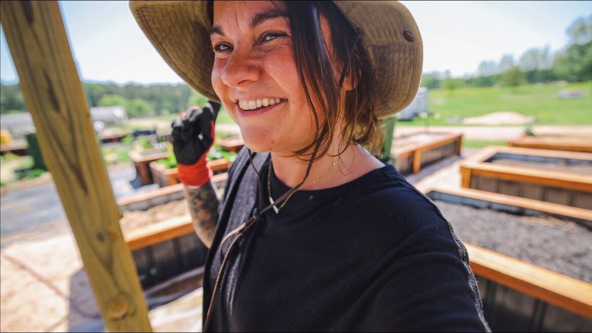 Roots and Refuge Farm: Cattle Panel Garden Trellising in all forms (It looks like Roots and Refuge) | VLOG Cattle Panel Garden Trellising in all forms (It looks like Roots and Refuge) | VLOG
