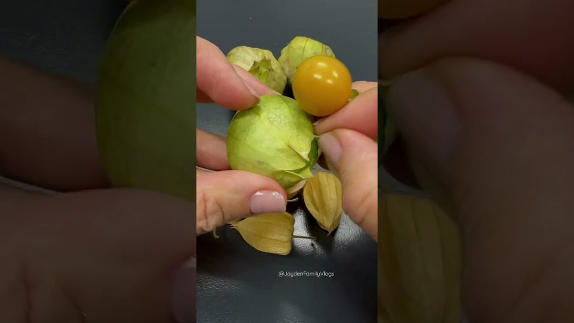 Fruit Treasure Gooseberry & Tomatillo ⚠️😱 #shorts #fruitcutting #satisfying #gooseberry #tomatillo