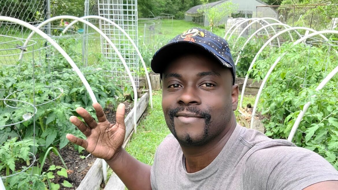 Im Thankful so Allow Me To Thank You| Thanks 🥰❤️