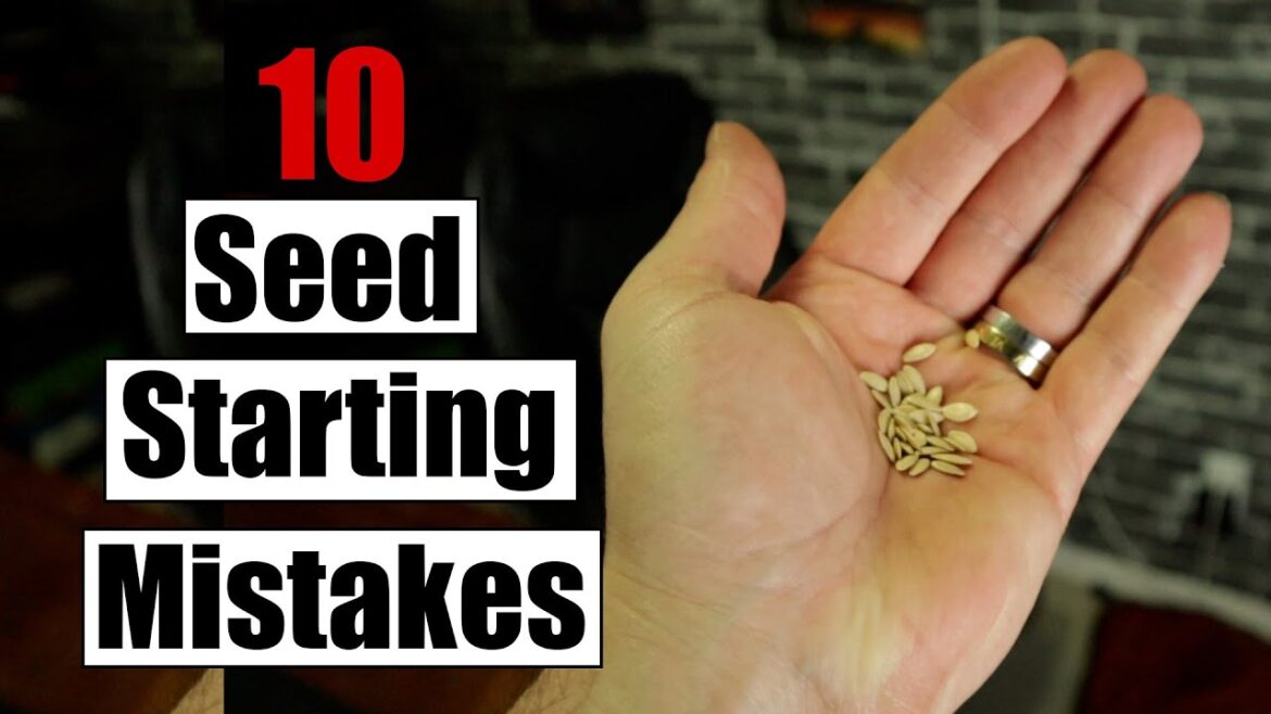 Top 10 Seed Starting Mistakes Every Gardener Should Avoid