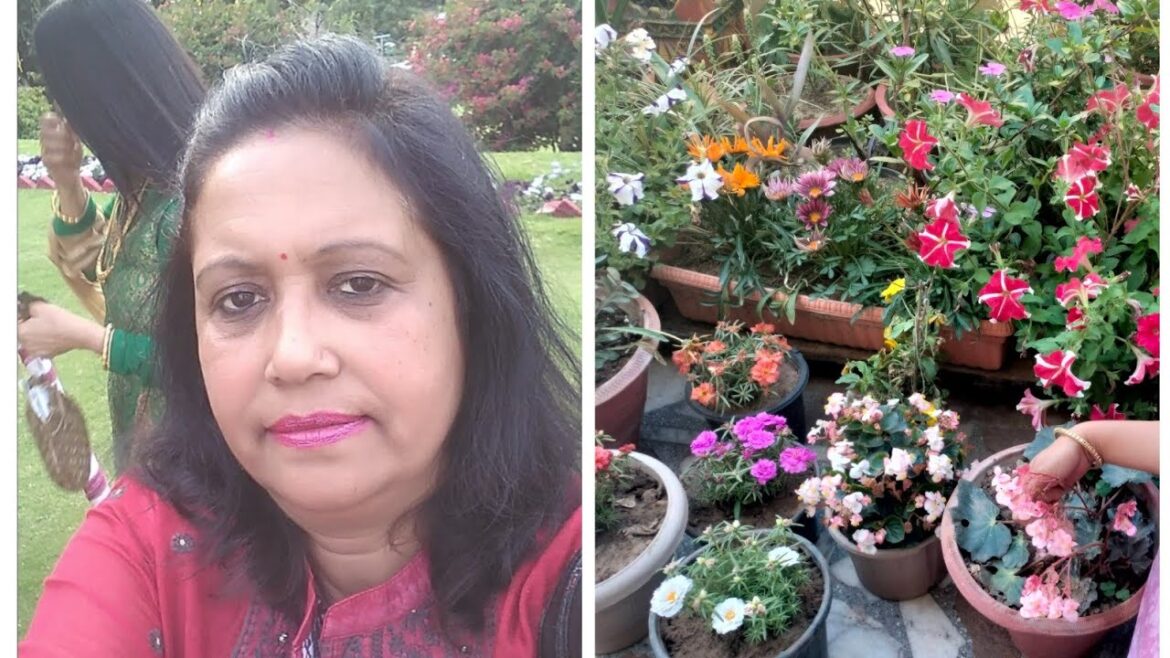 My garden view#plants #flowers #gardening #gardeningtips #nature #naturelover #beautiful