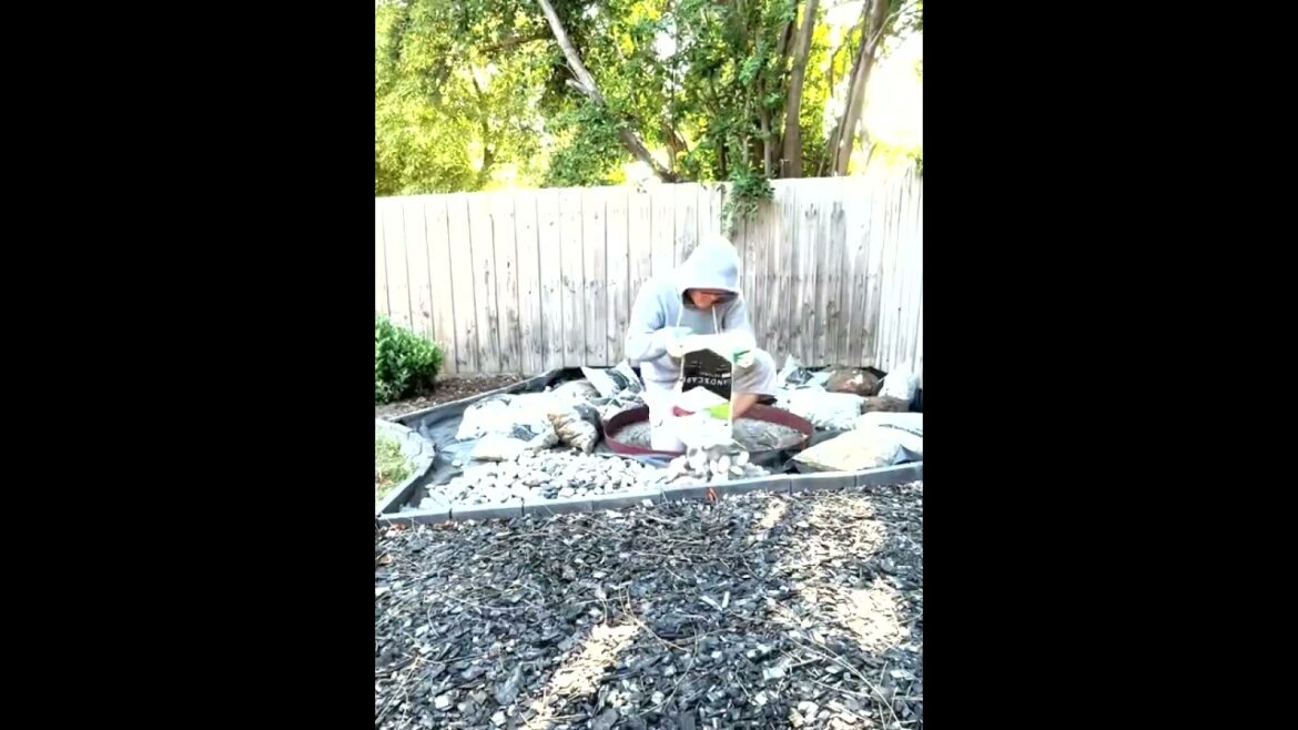 How to transform your backyard corner in 5 easy steps, must see#timelapse #landscapingideas#shorts How to transform your backyard corner in 5 easy steps, must see#timelapse #landscapingideas#shorts