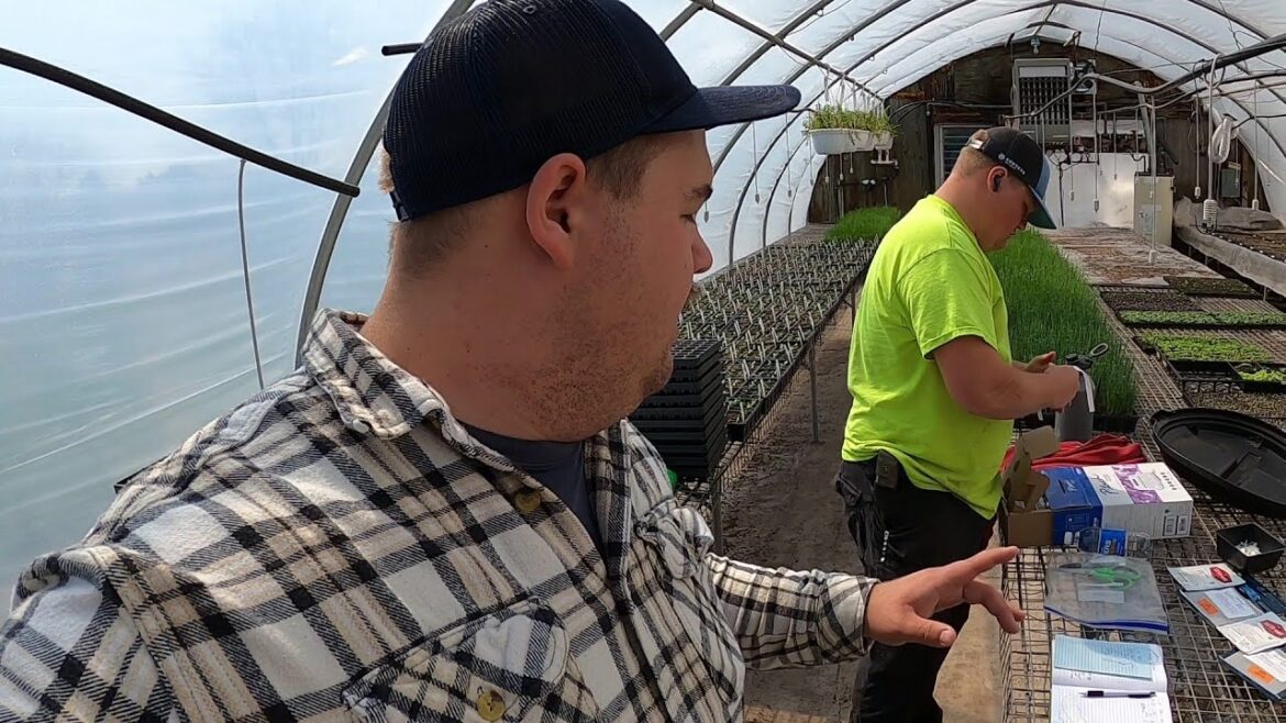 USING THIS TOOL MAKES SEEDING 1,000% EASIER USING THIS TOOL MAKES SEEDING 1,000% EASIER