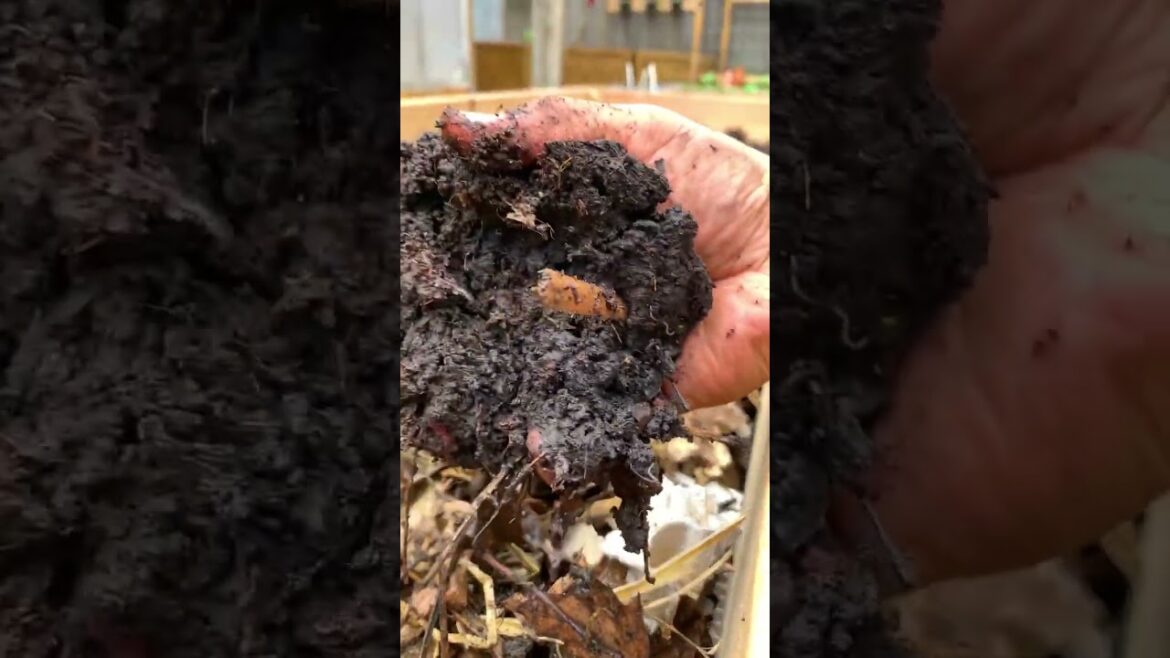 How to Build a Garden Archway #Shorts