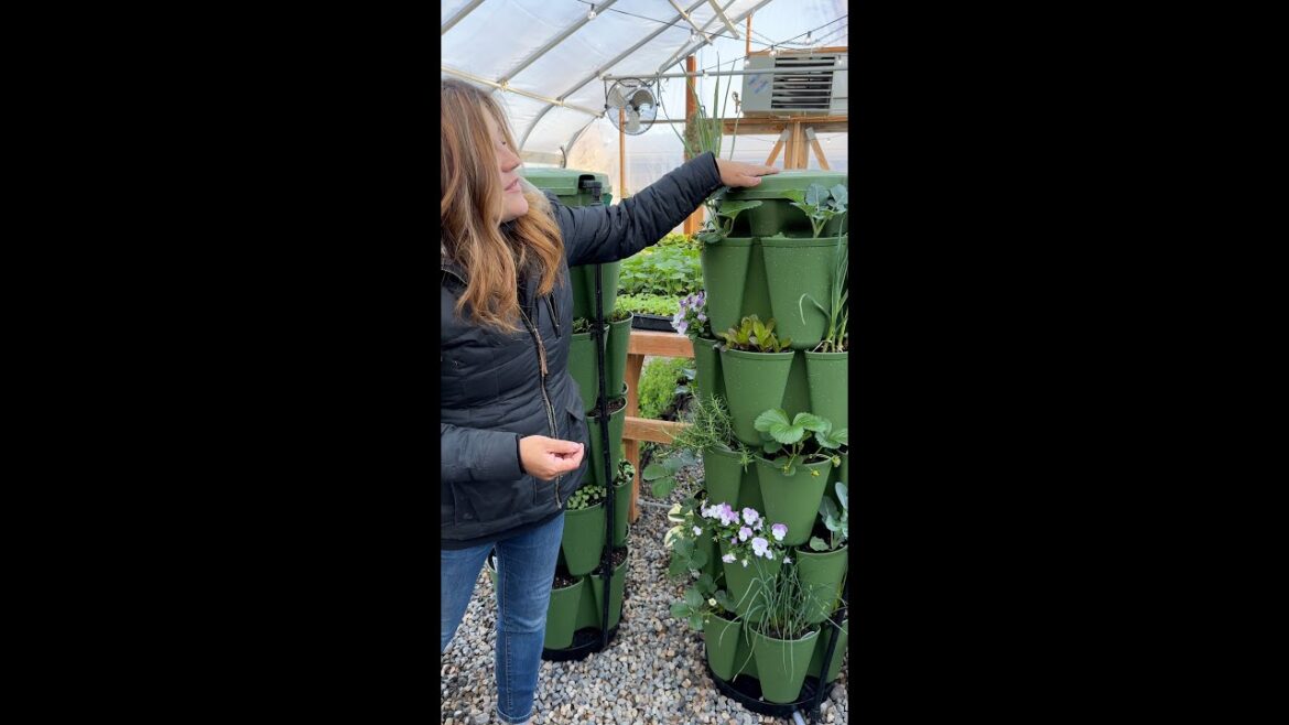 Vertical Garden Update and Picking a Winner!