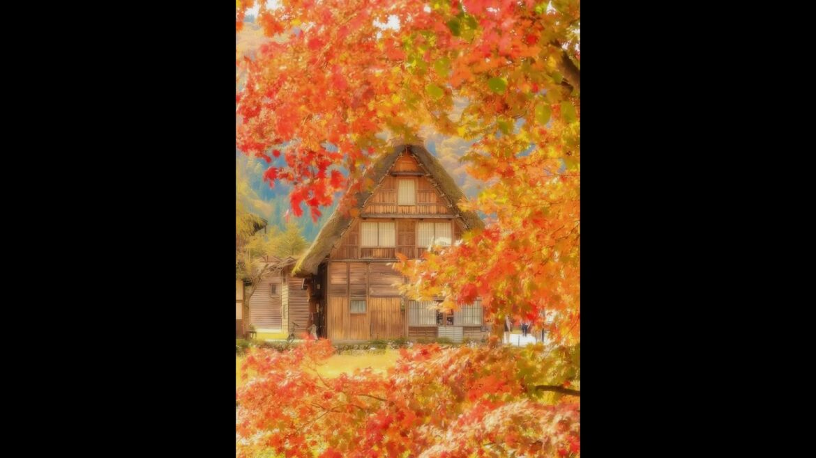 【Japanese Landscape】#shorts #Japan #garden #nostalgia #view