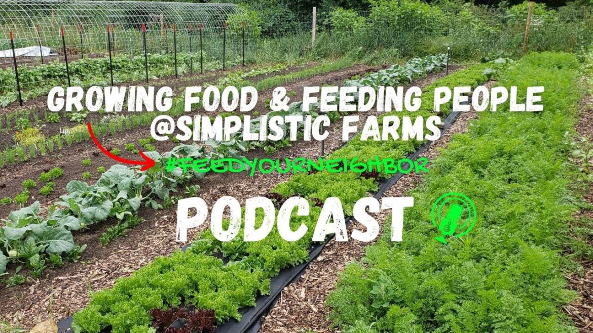 GFFP Podcast(Audio Only) - 10 Mistakes Every New Gardener Makes Starting Seeds!