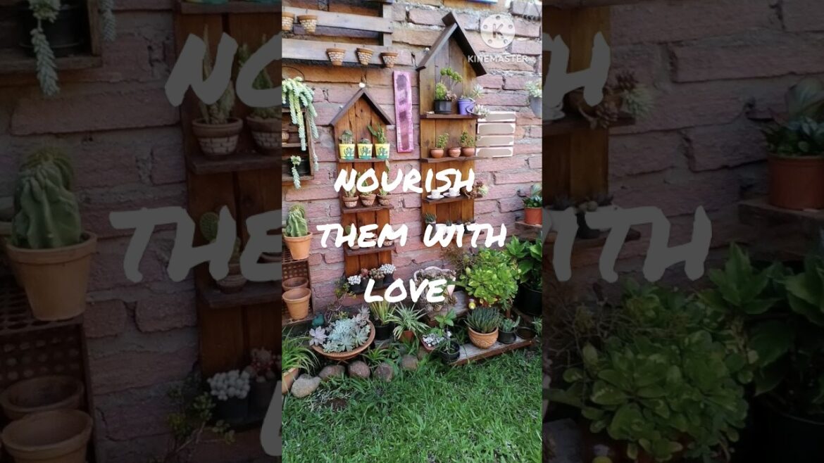 small garden ideas #shortfeeds #shorts