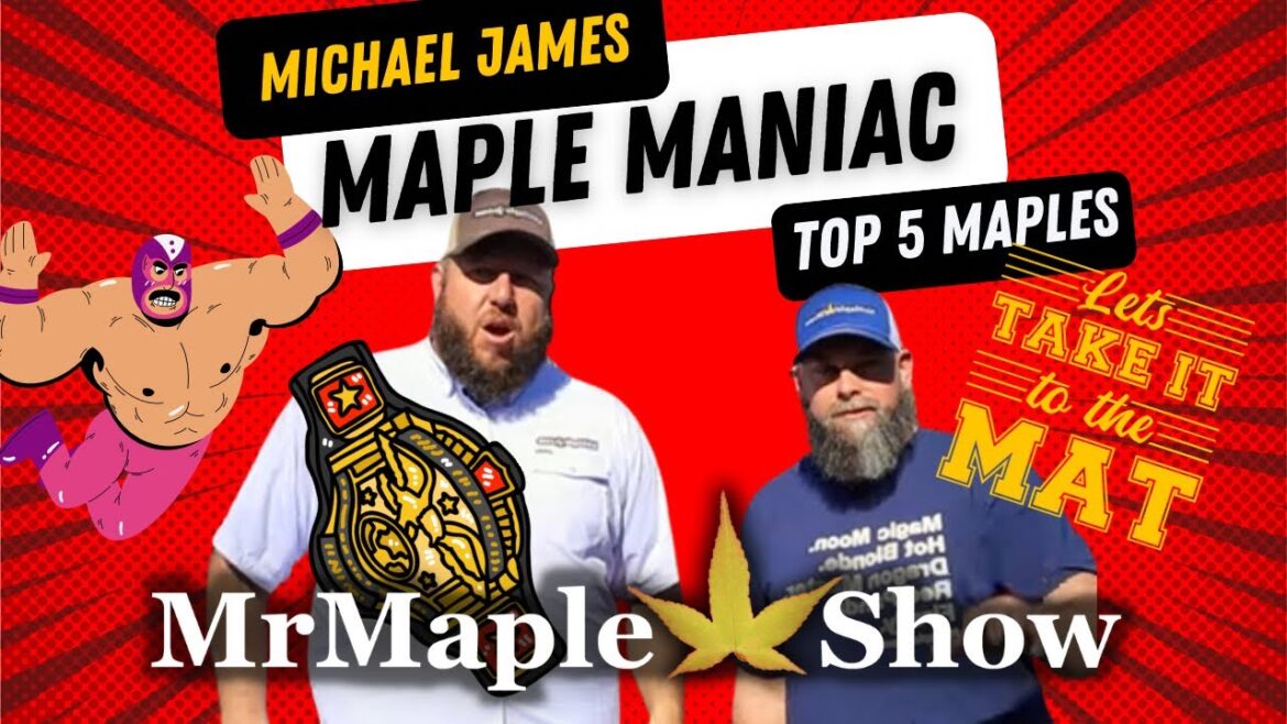 It’s Maple Maniac’s Top 5 Japanese Maples ooooh yeaaah Brother! It’s Maple Maniac’s Top 5 Japanese Maples ooooh yeaaah Brother!