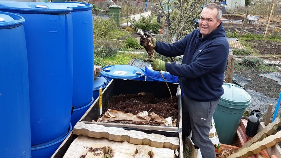 How Do I Grow Parsnips & Carrots & Store Them Over The Winter Months To Harvest Throughout Spring