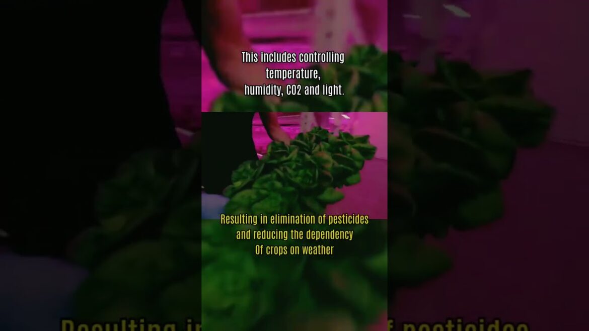 Advanced Farming in the age of climate change, you did not know! Advanced Farming in the age of climate change, you did not know!