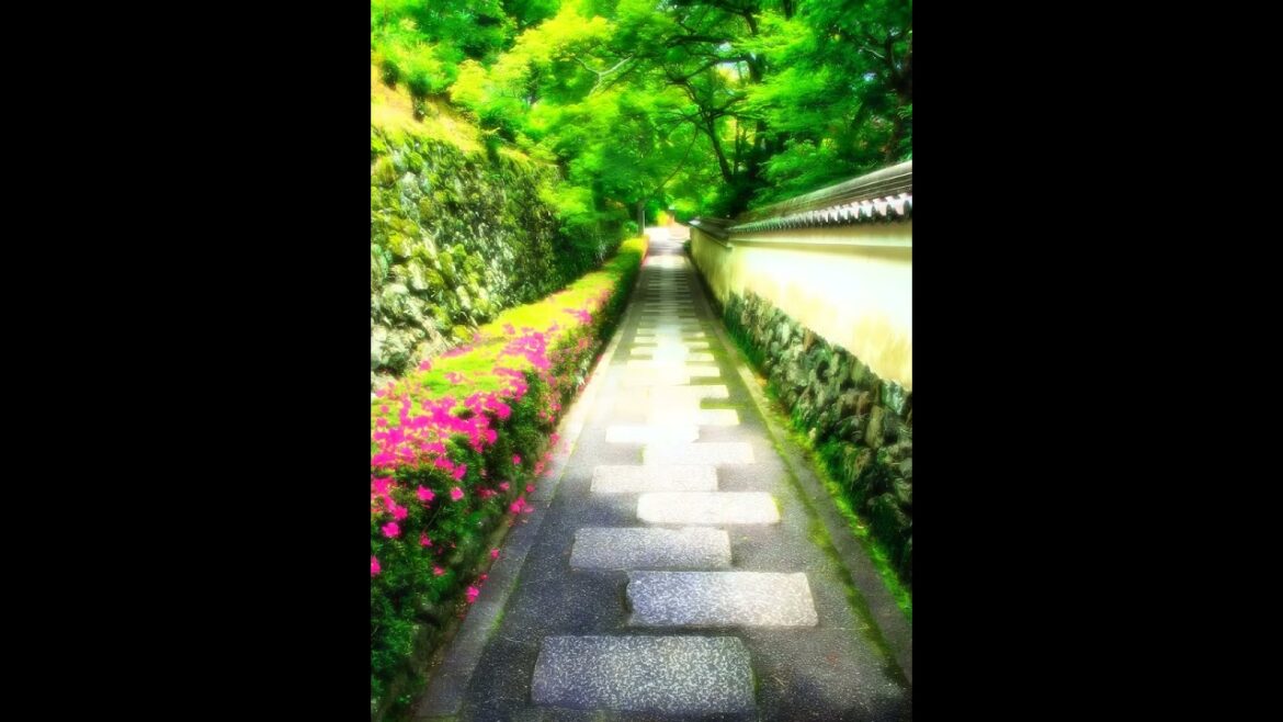 【Japanese Landscape】#shorts #Japan #japanese #temple #garden