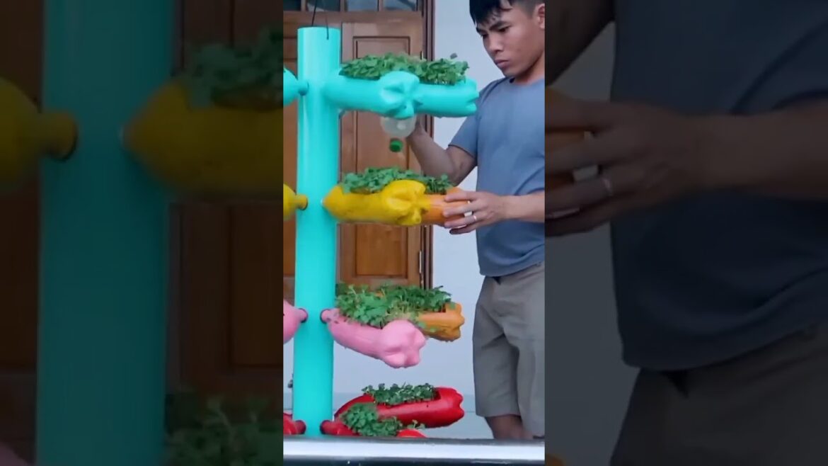 Recycling Plastic Bottle For Hanging Garden💯 #Shorts