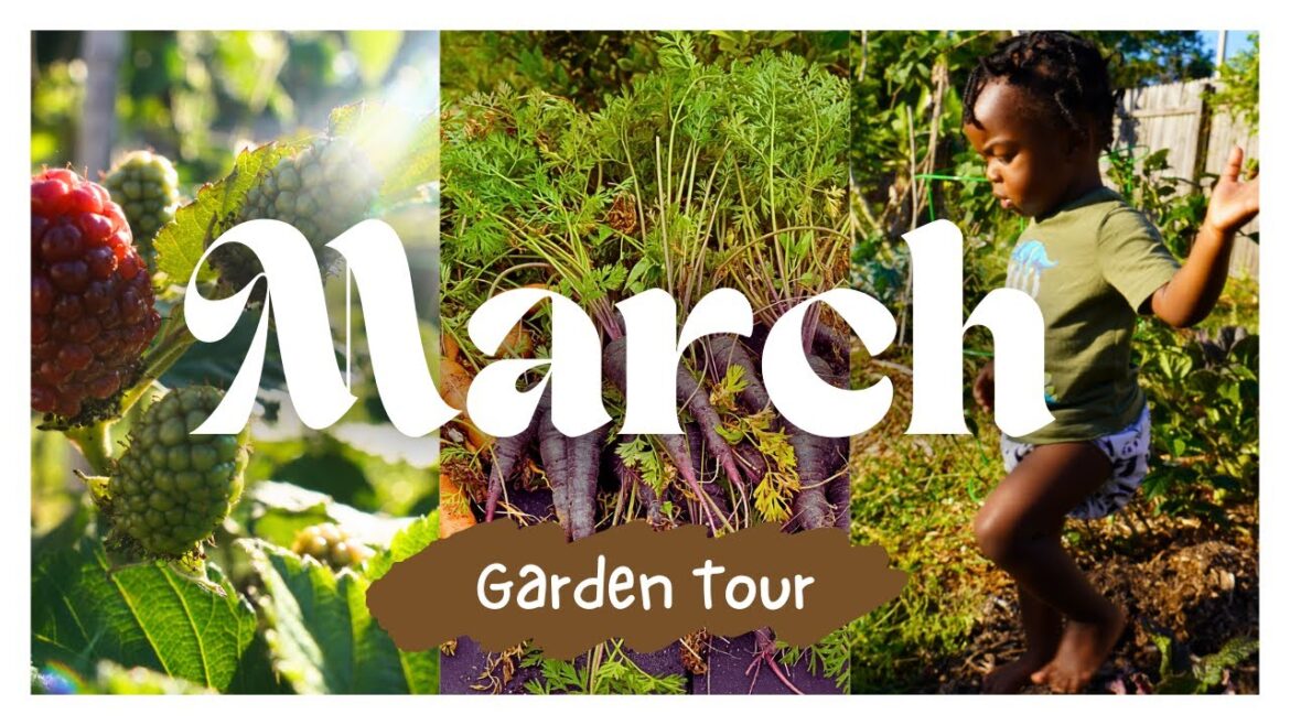 Spring Garden Tour | Blackberries, Carrots, Exotic Fruit Trees & More!