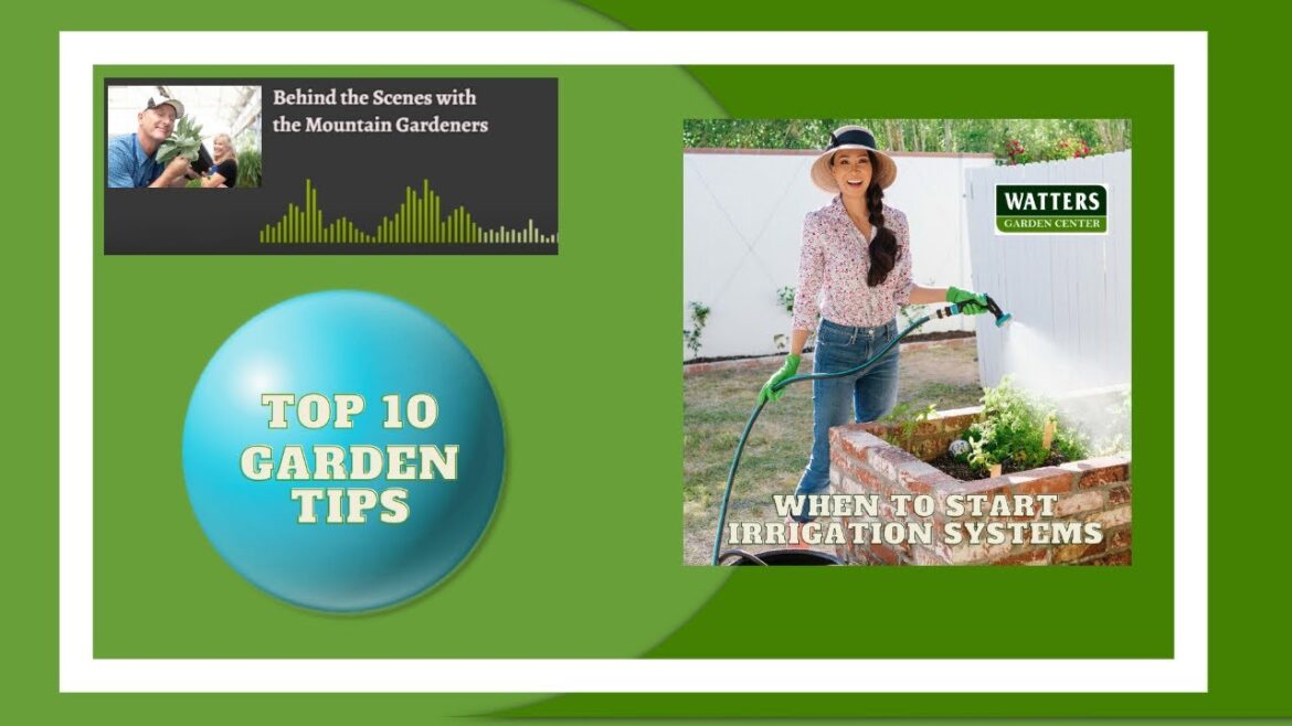Top 10 Gardener – Insider Garden Tips – When to Start Irrigation Systems Top 10 Gardener - Insider Garden Tips - When to Start Irrigation Systems