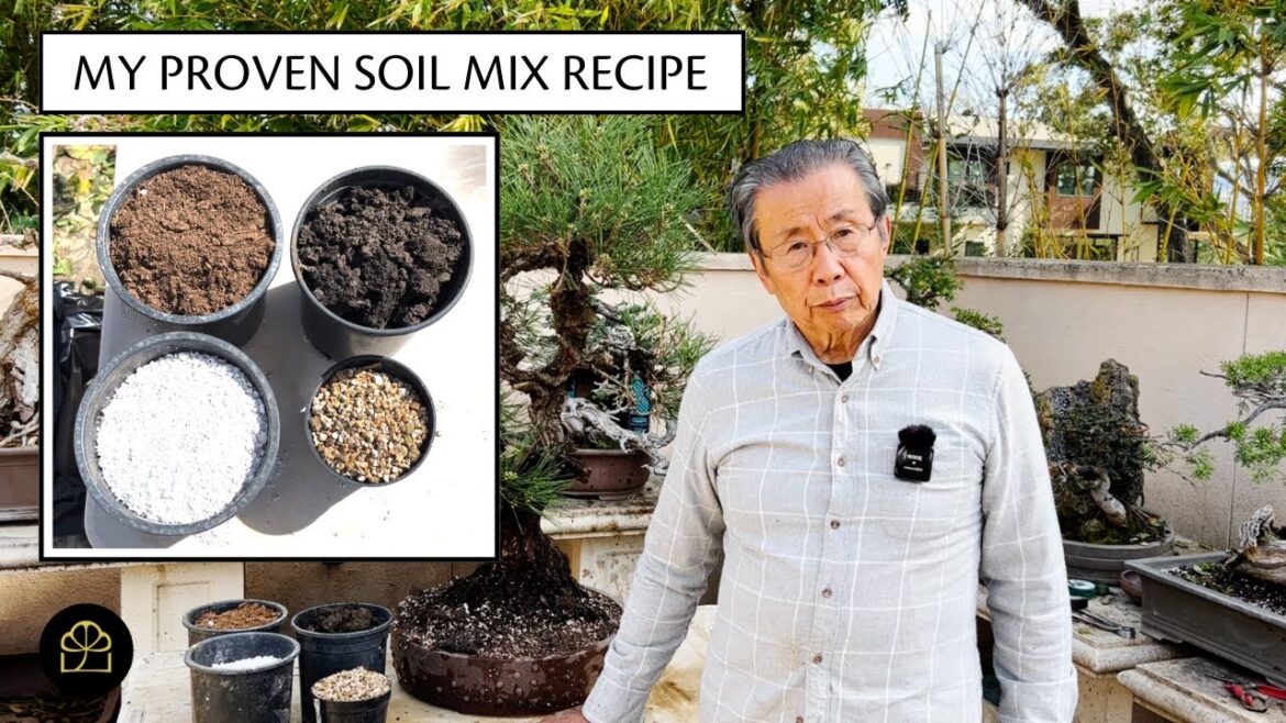 My Proven Soil Mix for Bonsai | Bonsai Heirloom My Proven Soil Mix for Bonsai | Bonsai Heirloom