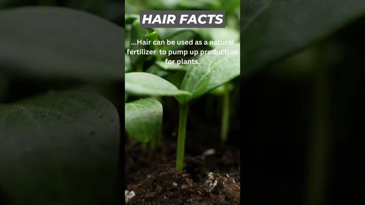 Grocery prices have us getting creative! 😅 #gardeningtips #funfacts #hair #shorts #coolfacts