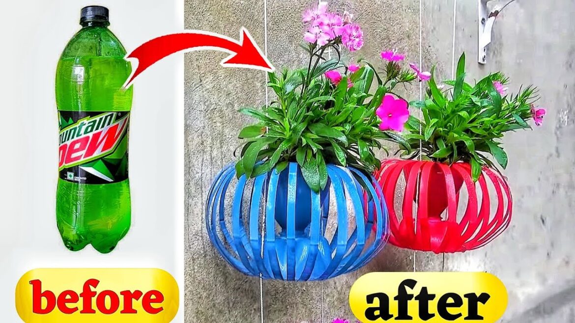 dew की बोतल से बना दिया स्टाइलिश गमला | garden ideas | recycle plastic bottle into butiful pots