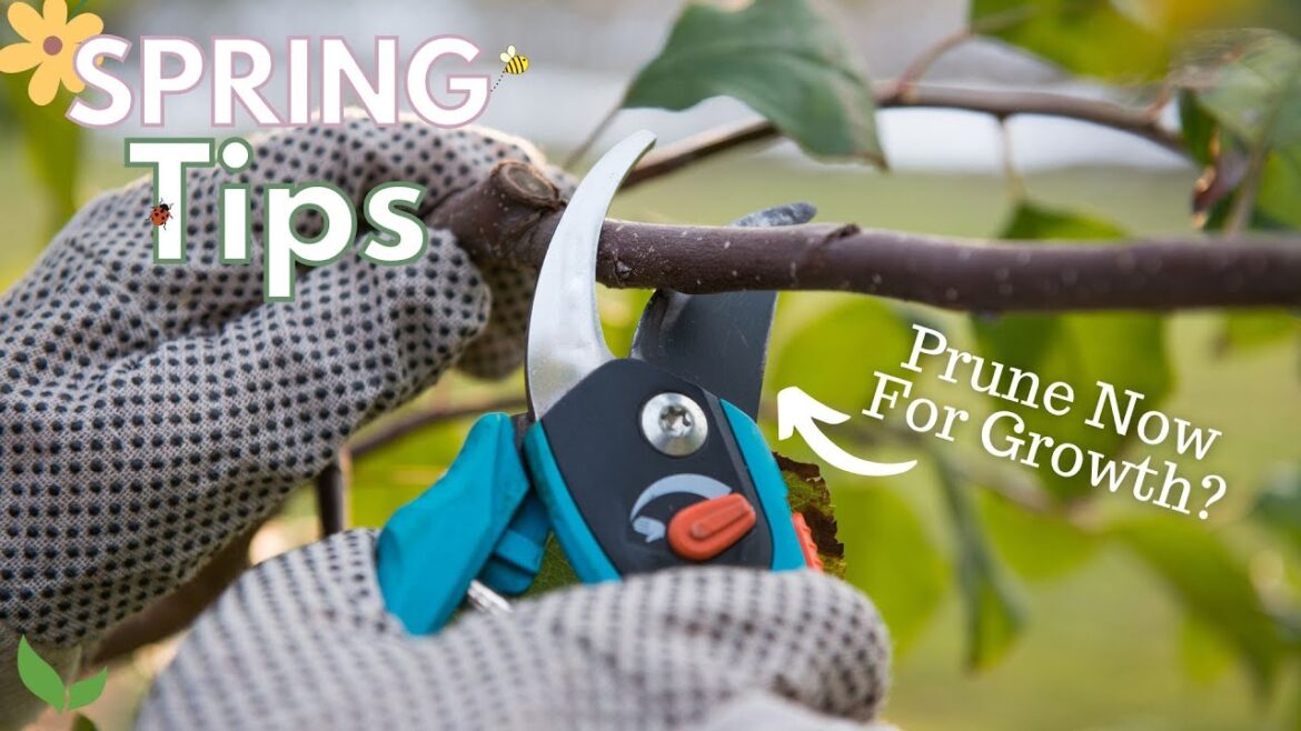 6 Tips To Prepare Your Garden For Spring | Spring Garden Prep 6 Tips To Prepare Your Garden For Spring | Spring Garden Prep