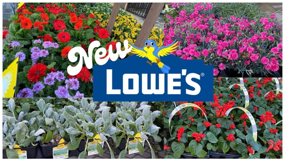 LOWE'S INVENTORY (APRIL 2023) BOXWOODS ORNAMENTAL TREES ANNUAL FLOWERS PERENNIAL FLOWER ROSES