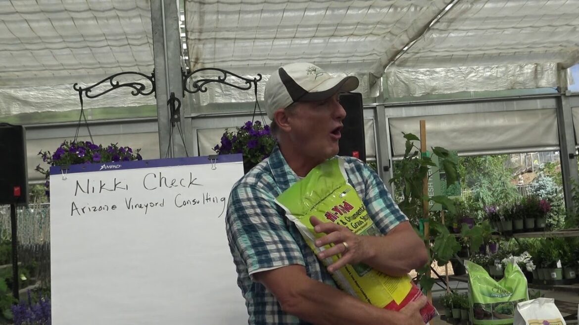 Garden Advice -  How to be a Lazy Gardener