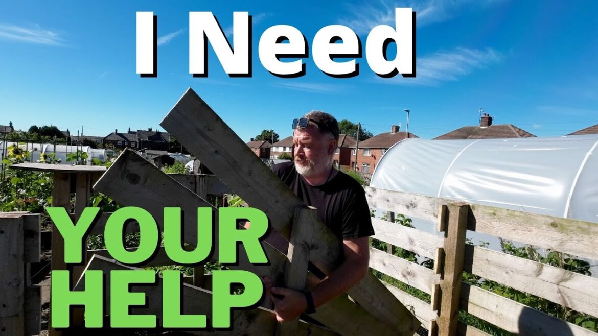 Please Help Me! | Allotment Gardening With Tony