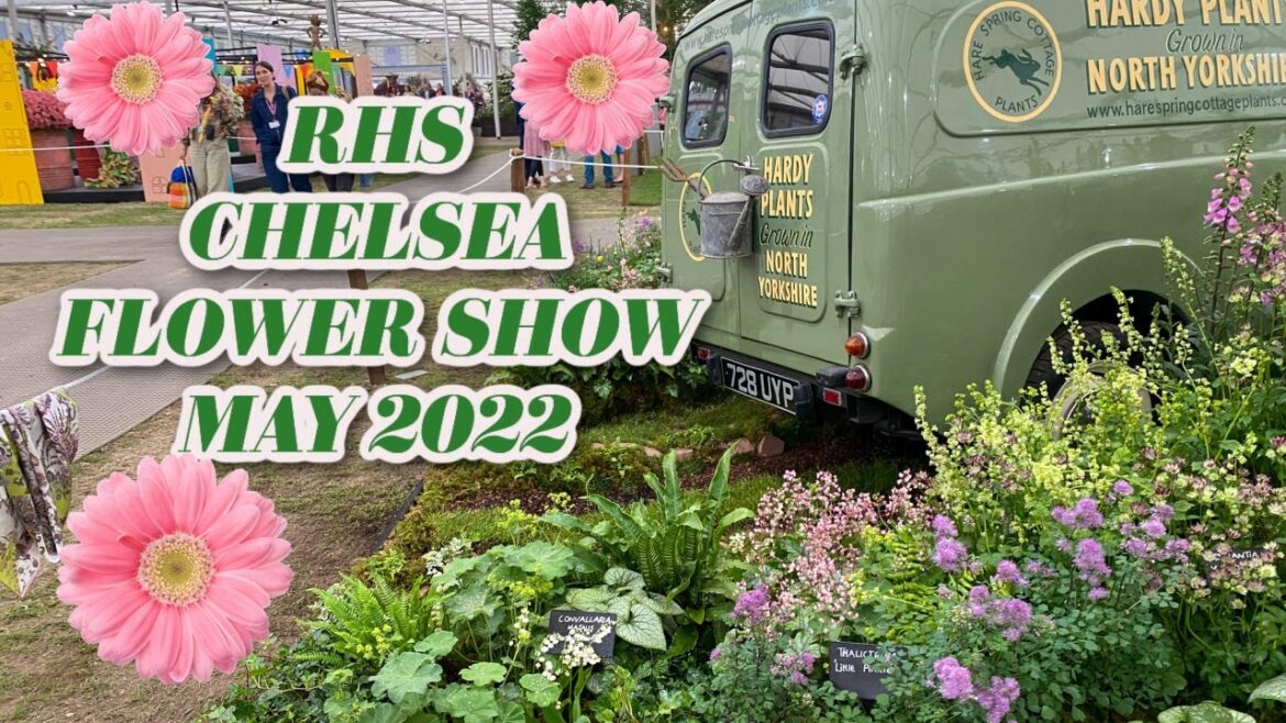 Stunning English Country Garden Ideas from RHS Chelsea Flower Show 2022!