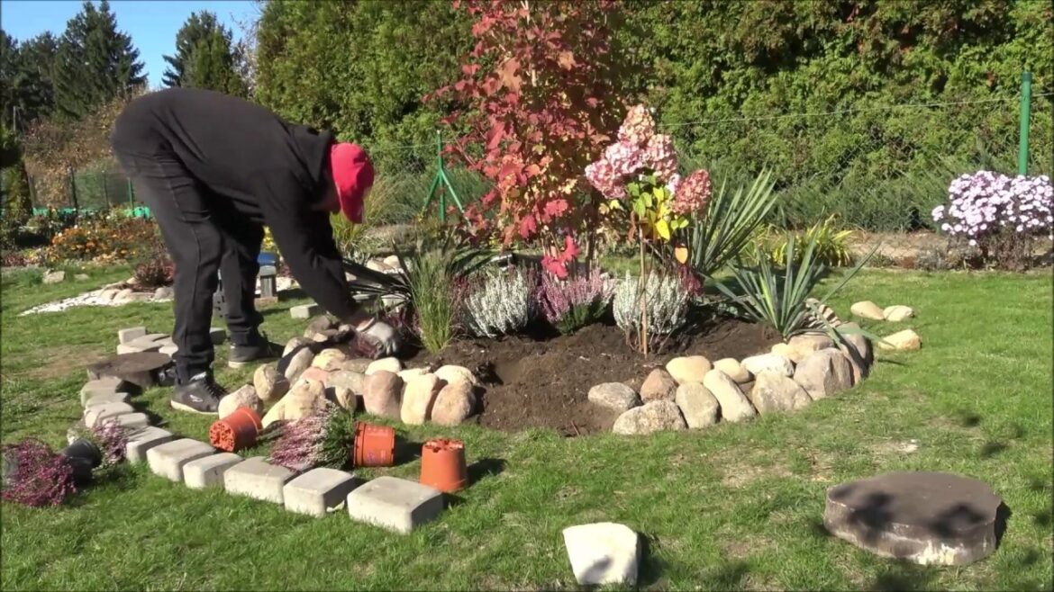 💚 GARDEN DESIGN 117 -  Nowy skalniak - Wrzosy. New Rockery Garden Edgings, heathers flowerbed
